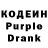 Codein Purple Drank Sofiya Gryaznova